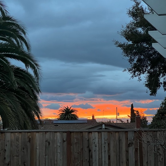 Small Pet Habitat Enclosure - Picture 11 of 15